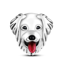 Gülümseyen Köpek Charm