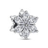 Herbaryum Charm