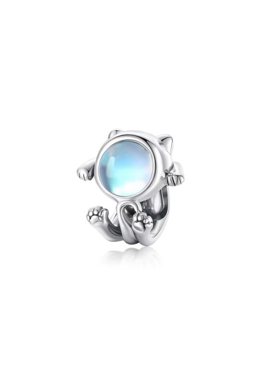 Astronot Kedi Charm