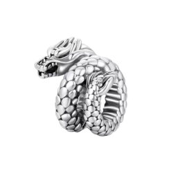 Görkemli Ejdarha Charm