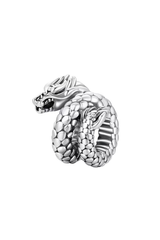Görkemli Ejdarha Charm