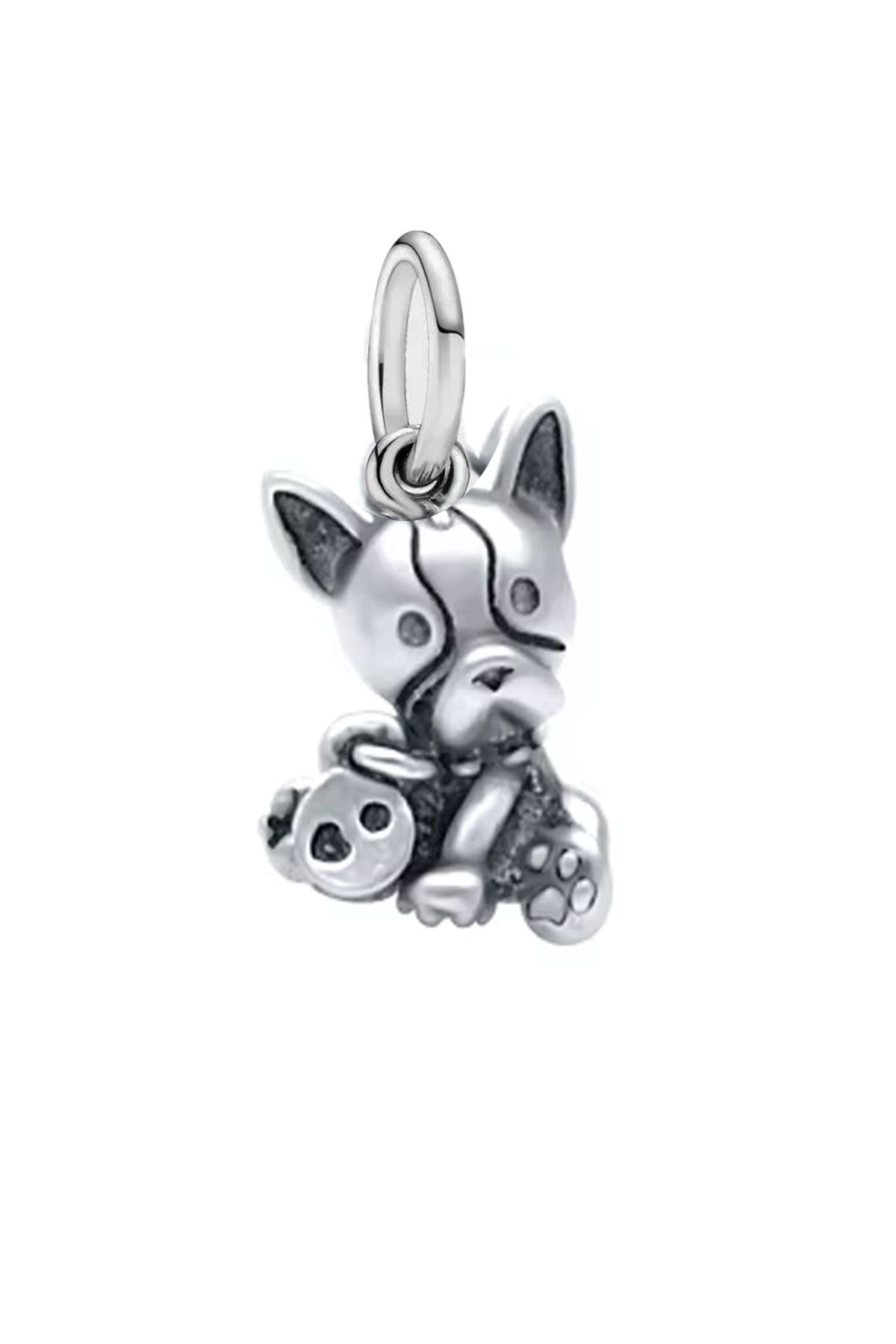 Yavru Köpek Sallantılı Charm