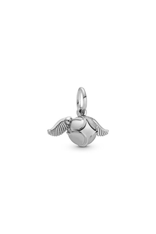 Snitch Topu Sallantılı Charm